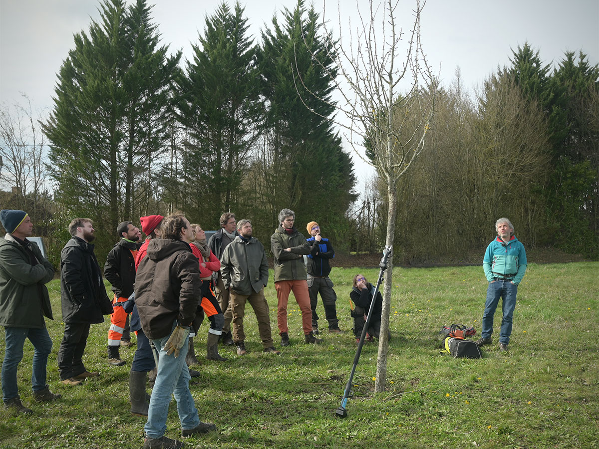 Groupe, observation d'un arbre