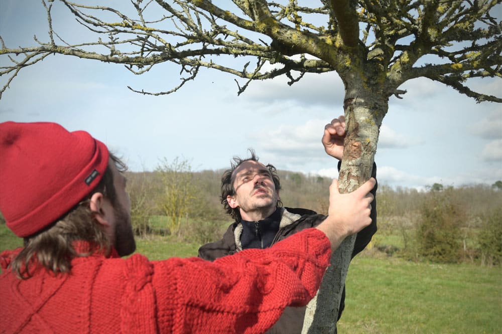 Julien Coirier, observation d'un arbre fruitier