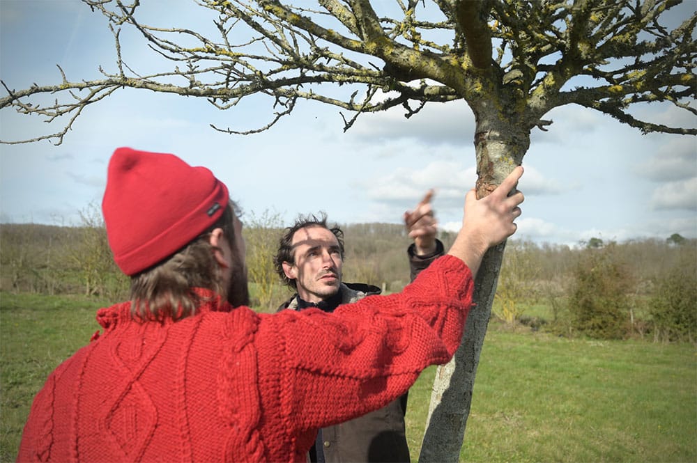 Formation arbres fruitiers Formation arbres fruitiers, Julien Coirier