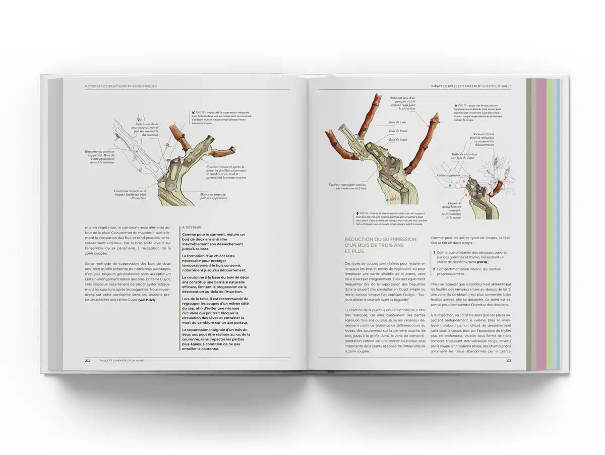 Taille et conduite de la vigne, le livre p232 233