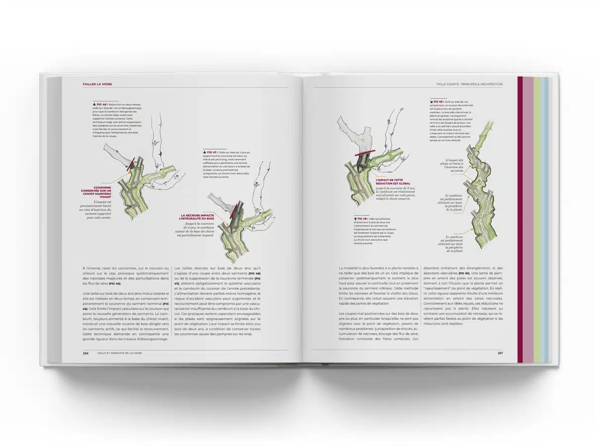 Taille et conduite de la vigne, le livre p286 287