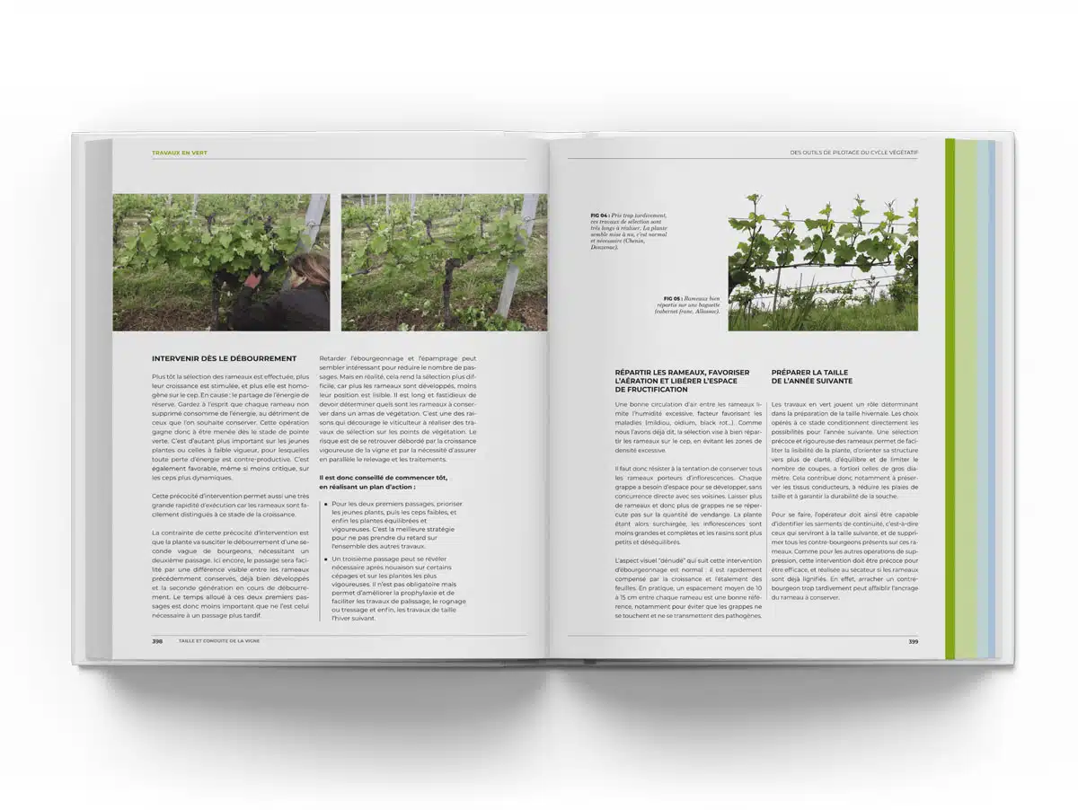 Taille et conduite de la vigne, le livre p398 399
