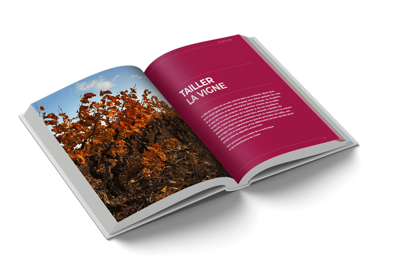Taille et conduite de la vigne, le livre ouvert