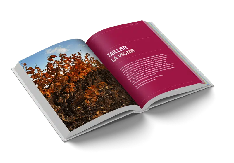 Taille et conduite de la vigne, le livre ouvert