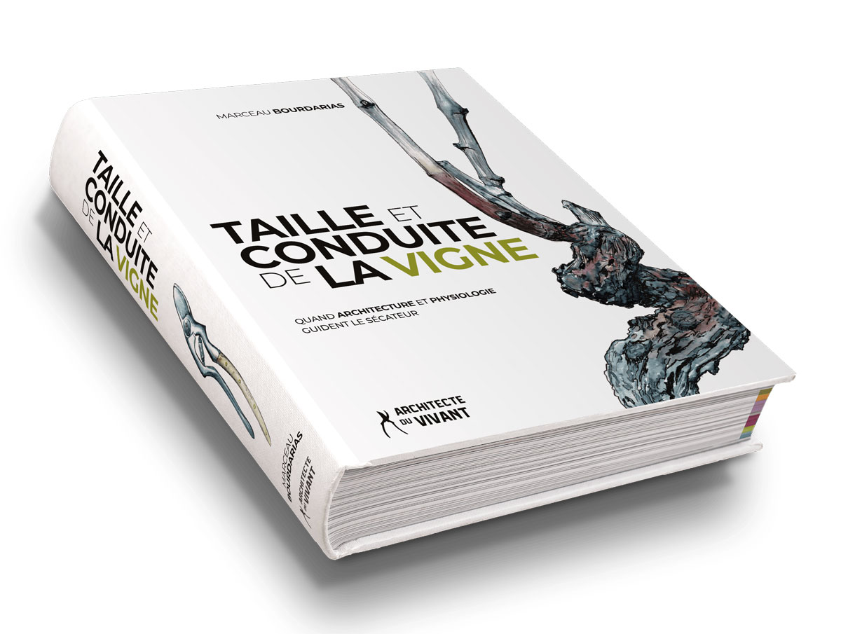 Taille et conduite de la vigne, le livre vue 3D