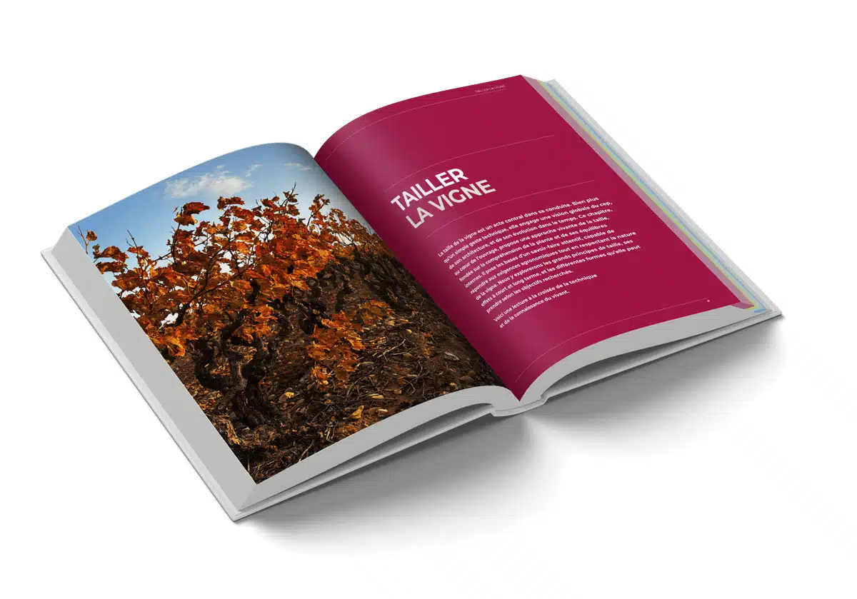 Taille et conduite de la vigne, le livre ouvert vue 3D