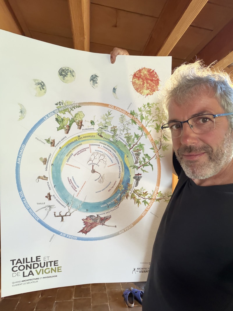 Taille et conduite de la vigne, le livre p146 147